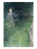 In the Hawthorn Hedge Giclee Print by Carl Larsson In the Hawthorn Hedge Giclee Print by Carl Larsson