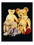 A Selection of Teddy Bears Giclee Print