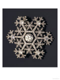 A Diamond and Platinum-Mounted Snowflake Brooch, circa 1908-1913 Giclee Print by Carl Faberge