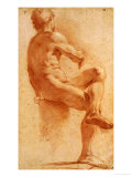 A Male Nude Seated with His Back Turned Giclee Print by Annibale Carracci
