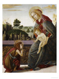 The Madonna and Child with the Young Saint John the Baptist in a Landscape Giclee Print by Sandro Botticelli
