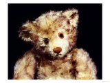 Close Up of a Steiff "Dual" Mohair Teddy Bear, C, 1926 Giclee Print by Steiff 