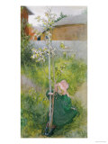 Appleblossom, 1894 Giclee Print by Carl Larsson