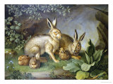 Hares and Leverets in a Rocky Lair Giclee Print by Johann Wenzel Peter