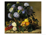 Hydrangea in an Urn and a Basket of Fruit on a Ledge Giclée-Druck von Johan Laurentz Jensen
