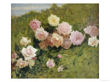 A Study of Roses Giclee Print by Luigi Rossi