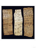 Three Pygmy Bark Paintings Lámina giclée