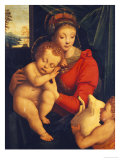 The Madonna with the Sleeping Child and the Infant Baptist Giclee Print by Bernardino Lanino