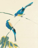 Birds Prints by Aurore De La Morinerie