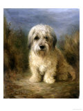 A Dandie Dinmont Giclee Print by Lilian Cheviot