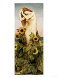 Clytie, 1886-7 reproduction procédé giclée par Evelyn De Morgan