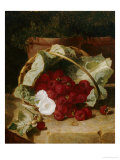 Raspberries in a Cabbage Leaf Lined Basket with White Convulus on a Stone Ledge, 1880 Giclee Print by Eloise Harriet Stannard
