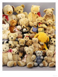 A Large Selection of Teddy Bears Giclee Print