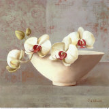 Orchid Blossom Arte por Fabrice De Villeneuve Orchid Blossom Arte por Fabrice De Villeneuve
