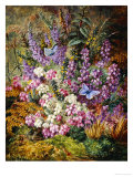 Blue Butterflies and Wildflowers, 1878 Reproduction procédé giclée par Albert Durer Lucas
