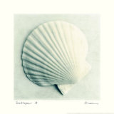 Sea Shapes II Affiches par Amy Melious