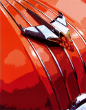 Tail Fins And Two Tones V Láminas por Mike Patrick