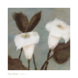 Solace Arte por Onan Balin Solace Arte por Onan Balin