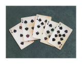 Straight Flush Print by Lisa Danielle