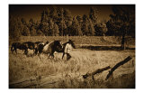 Bring the Horses Home Giclee Print by Jim Tunell