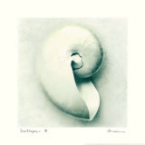 Sea Shapes III Posters by Amy Melious