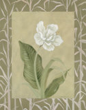 Pure and Organic I Print by Carol Robinson
