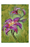 Lily Giclee Print by Marcella Rose