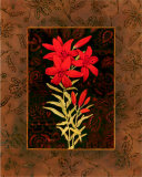 Damask Lily Póster por Paul Brent