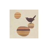 Fly on the Wall Prints by Ruppel 
