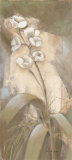 White Hot II Prints by Pamela Luer