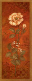 Rosa con gisófila Láminas por Pamela Gladding