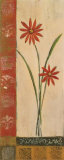 Symmetry and Spice II Posters av Rebecca Burton Symmetry and Spice II Posters av Rebecca Burton
