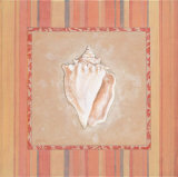 Citrus Shell I Posters by Eugene Tava