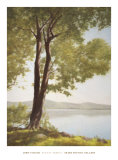 Sunlit Trees I Print by John Folchi