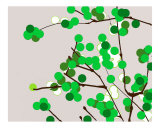 Green Cherry blossom Photographic Print by Estela Lugo
