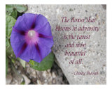 Adversity Photographic Print by Scott Kuehn