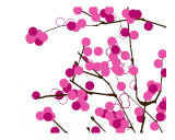 Pink blossoms Photographic Print by Estela Lugo