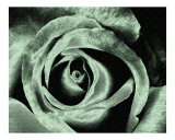 Solarized Emerald Photographie par Scott Kuehn