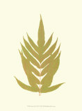 Lowes Fern II Print by Edward Lowe