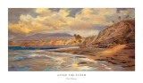 After the Storm Posters af Rick Delanty