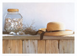 Still Life with Seashells Affiches par Daniel Pollera