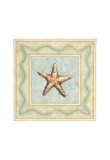 Shell Collector III Prints by Meagher 