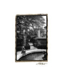 Garden Fountain I Giclee Print by Laura Denardo Garden Fountain I Giclee Print by Laura Denardo