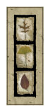 Kyoto Panel I Prints Kyoto Panel I Prints