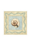 Shell Collector II Poster by Meagher 