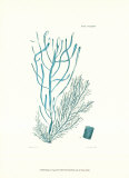 Shades of Aqua III Posters