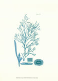 Shades of Aqua I Prints