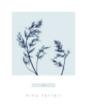 Endro Arte por Nina Farrell