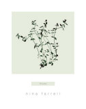 Thyme Prints by Nina Farrell