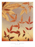 Collage II Affiches par Steven N. Meyers